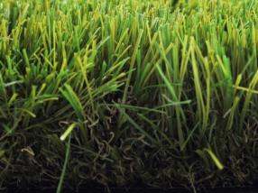 Royal Grass XL 