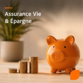 Assurance Vie & Épargne