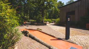 Mini-golf