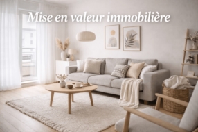 Mise en valeur immobilière
