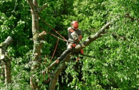 Sécurisation de couronnes