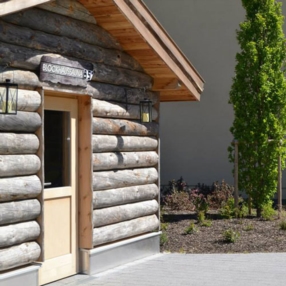 Cabane sauna
