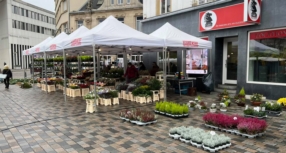Stand Marché d‘Esch sur Alzette