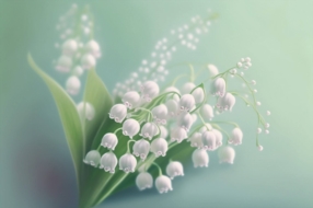 1er mai, Fête du travail