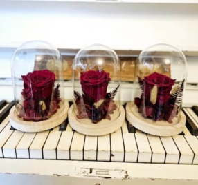 Cloches