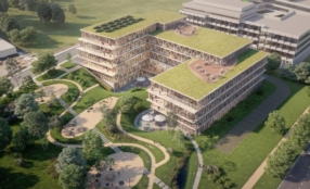 WOODEN Immeuble admnistratif