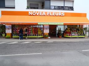 Novea Fleurs