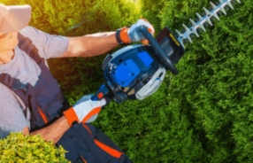 Entretien régulier pour un jardin toujours impeccable