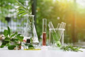Cours de sciences naturelles 