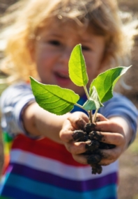 Projet Découverte de la nature