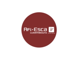 CONSEIL PATRIMONIAL SUR MESURE         