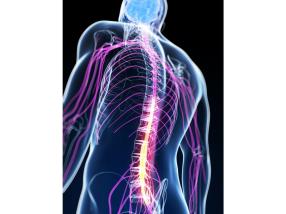 Spécialisé pour les maladies neurologiques