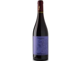 Dom. Mouressipe - Tracassier Revivre 2014