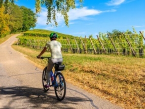 Fahrrad-Leasing