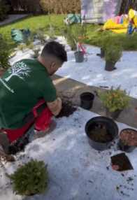 Aménagement & entretien paysager