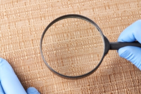 Prévention des nuisibles : la clé d’une protection durable