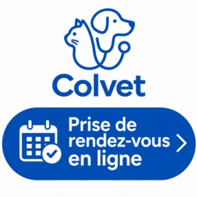 Prise de rendez-vous en ligne