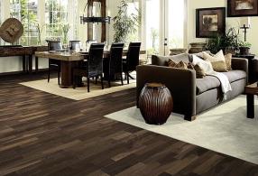 Parquet et plancher