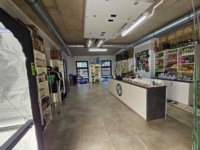 Artikel vu Popeye's Passion