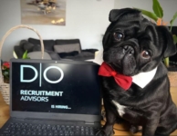 Article fromDO Recruitment Advisors