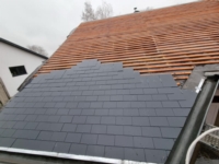 Artikel vonDAACH SCHROEDER