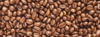 Article de RoasterCup Sàrl