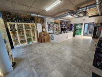 Article fromPopeye's Passion