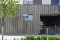 Artikel vu Kiné Esch