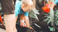 Article de Solina - Jongenheem
