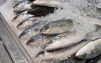 Article fromDelhaize Cents