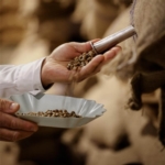 Artikel vonNovadelta Luxembourg Sàrl